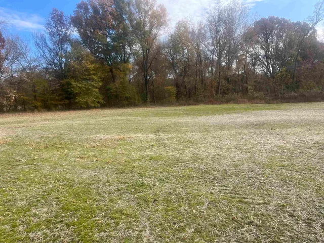 a view of a yard with an trees