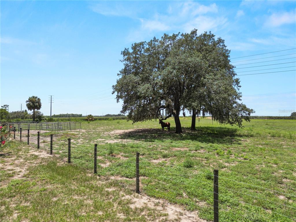 6570 Water Tank Road Haines City, FL 33844 - Photo 82 of 95