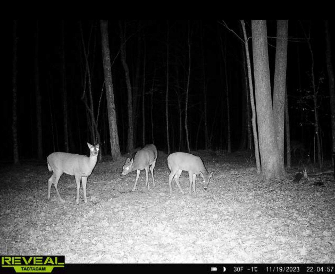 4792 Butler Road Winter, WI 54896 - Photo 24 of 29 Gallery Image 24