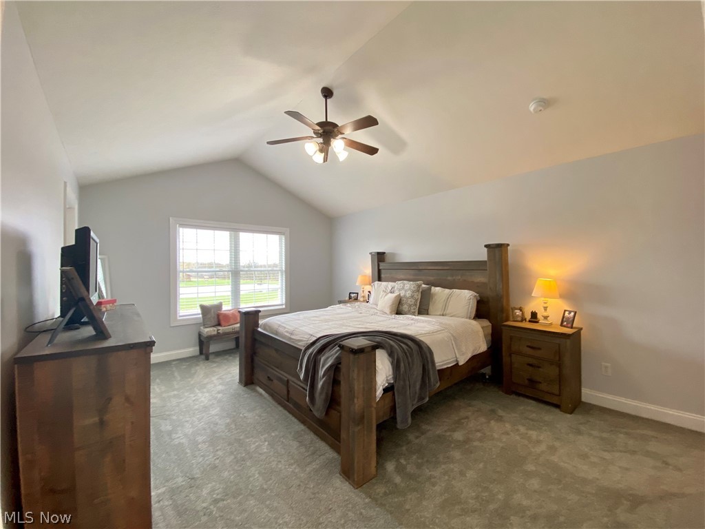 7790 Neff Road Medina, OH 44256 - Photo 15 of 29 Oversized Owner's Suite - Vaulted Ceilings - 2 Walk in Closets! Fresh Paint - Plush Carpet - Access to Updated Bath (2021).