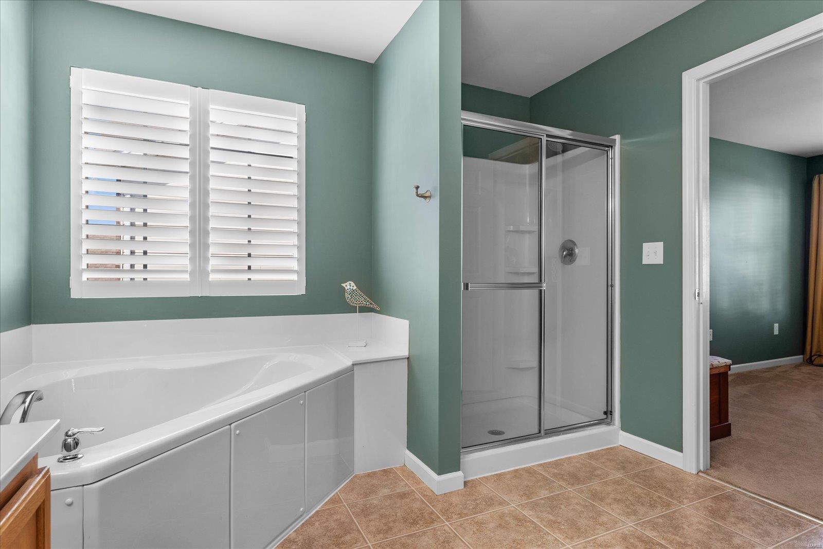 3012 Blackwood Drive Shiloh, IL 62221 - Photo 31 of 41