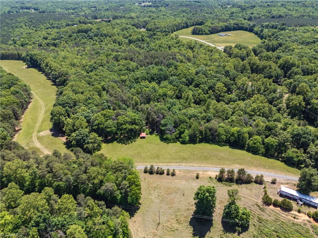 1642 Rhodes Loop Madison, NC 27025 - Photo 46 of 50