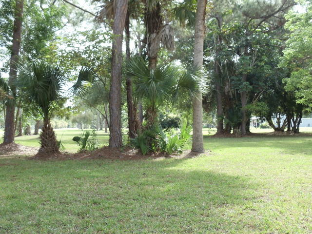 13382 17th Road North Loxahatchee, FL 33470 - Photo 4 of 16 DSC05874.JPG