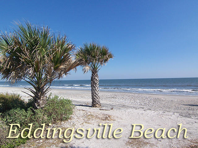 713 Sandpiper Ridge Edisto Island, SC 29438 - Photo 17 of 24 19