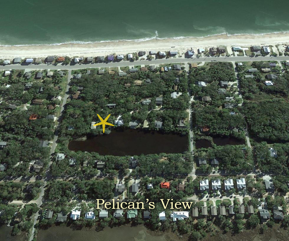 713 Sandpiper Ridge Edisto Island, SC 29438 - Photo 2 of 24 Aerial
