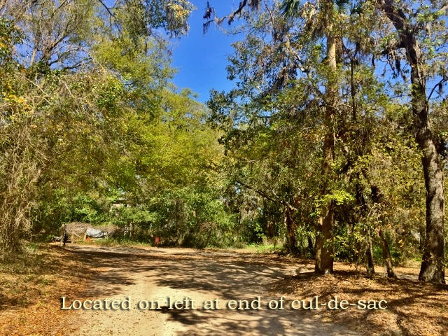 713 Sandpiper Ridge Edisto Island, SC 29438 - Photo 3 of 24 3