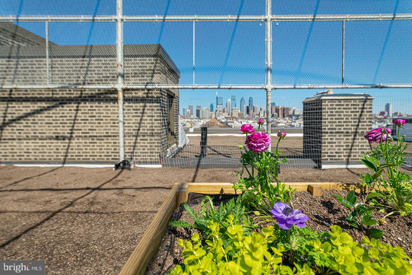 1300 South 19th Street, Unit 316 Philadelphia, PA 19146 - Photo 15 of 19 a view of lot of flowers in front of house