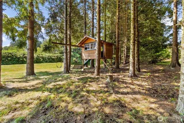 a view of a park with large trees