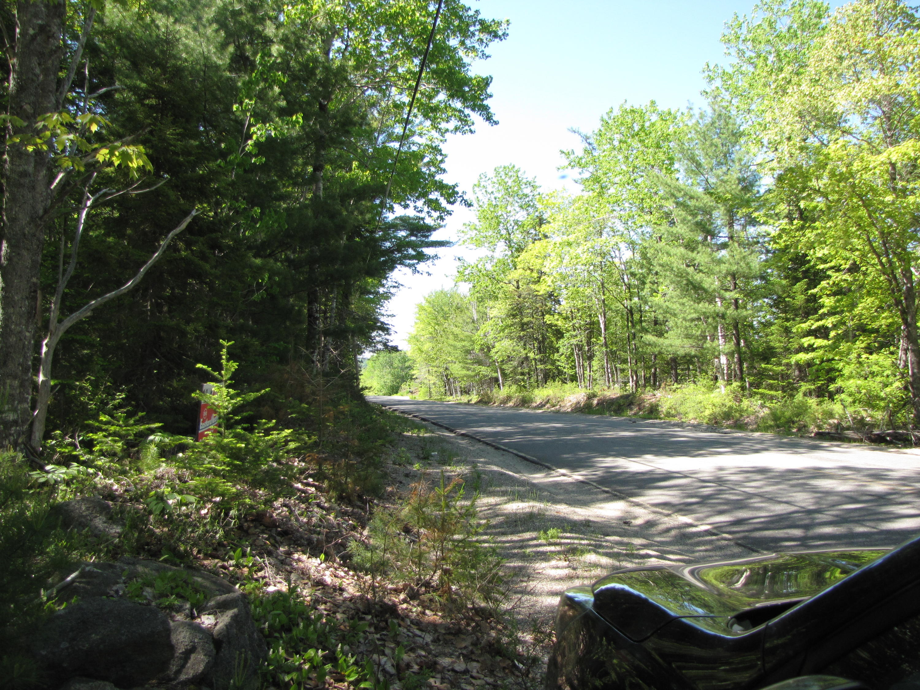 Lot 13 Northfield Road Northfield, ME 04654 - Photo 8 of 8 IMG_0327