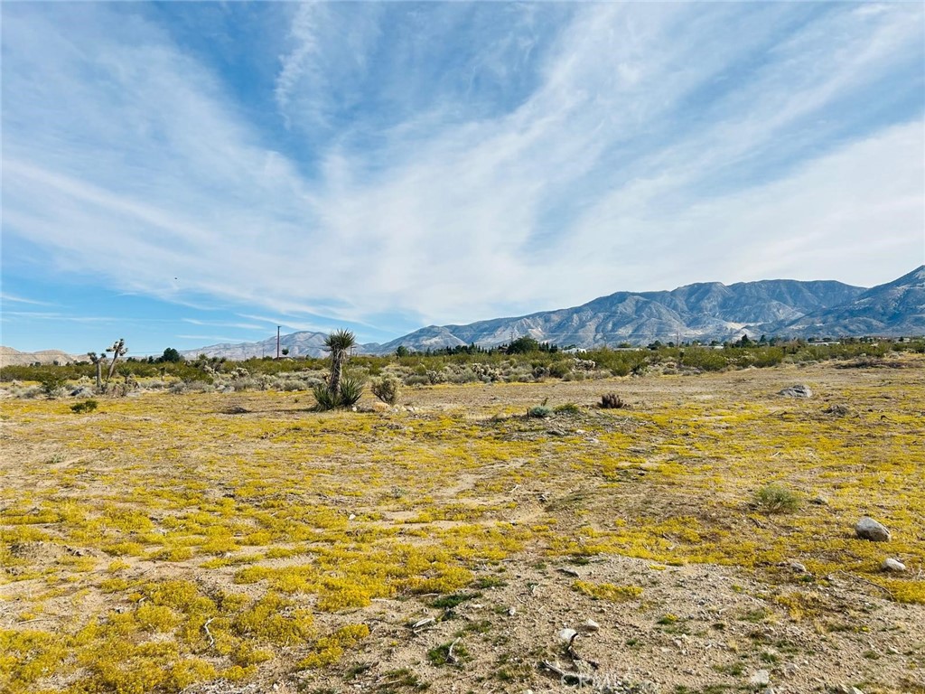 32 Amber Lucerne Valley, CA 92356 - Photo 8 of 14 a view of an ocean