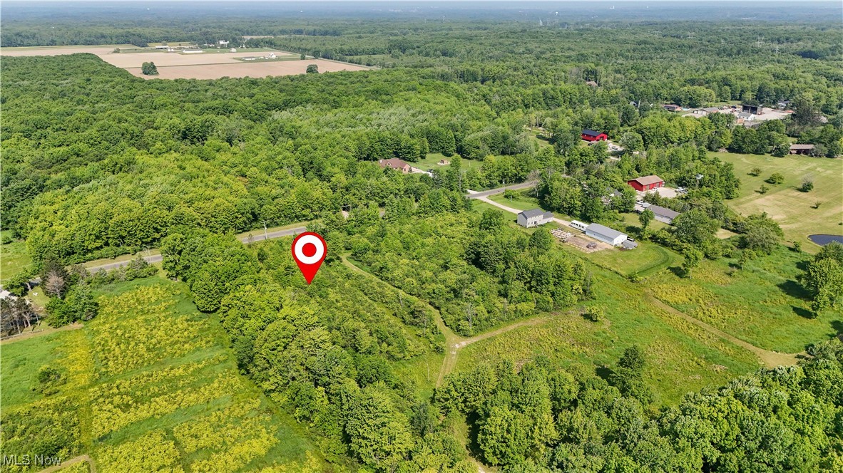 Brakeman Road Painesville, OH 44077 - Photo 22 of 24 View of property location with a heavily wooded area