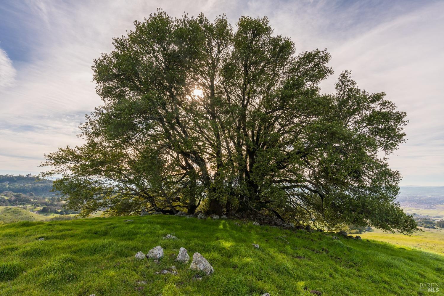 Undisclosed Address Penngrove, CA 94951 - Photo 61 of 70