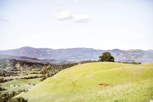 $5,500,000 | Undisclosed Address, Penngrove, CA 94951