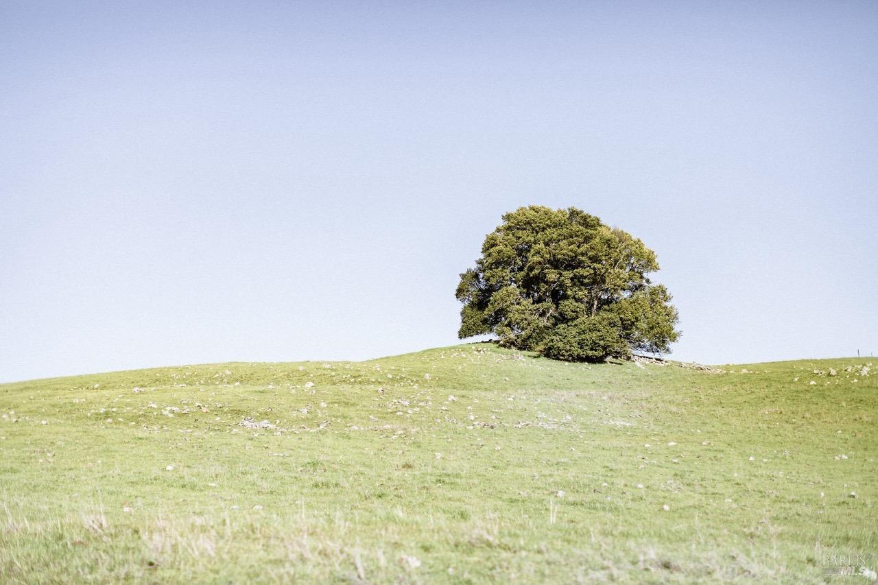 Undisclosed Address Penngrove, CA 94951 - Photo 68 of 70