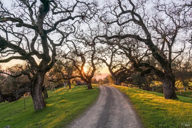 $5,500,000 | Undisclosed Address, Penngrove, CA 94951