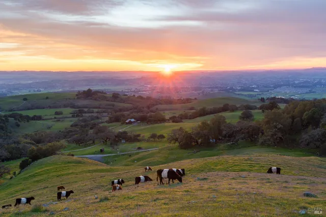 $5,500,000 | Undisclosed Address, Penngrove, CA 94951