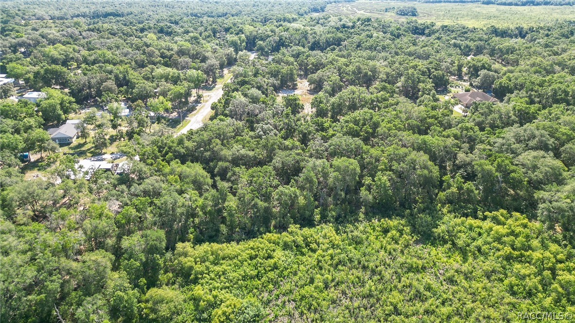 4240 South Kenvera Loop Inverness, FL 34450 - Photo 7 of 12