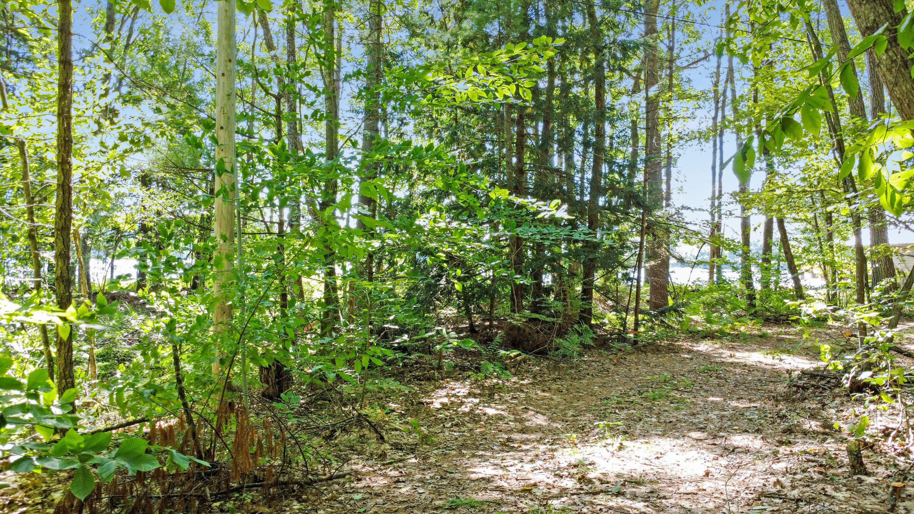 Map60-lot17 North Shore Road Turner, ME 04282 - Photo 14 of 20 DJI_0113