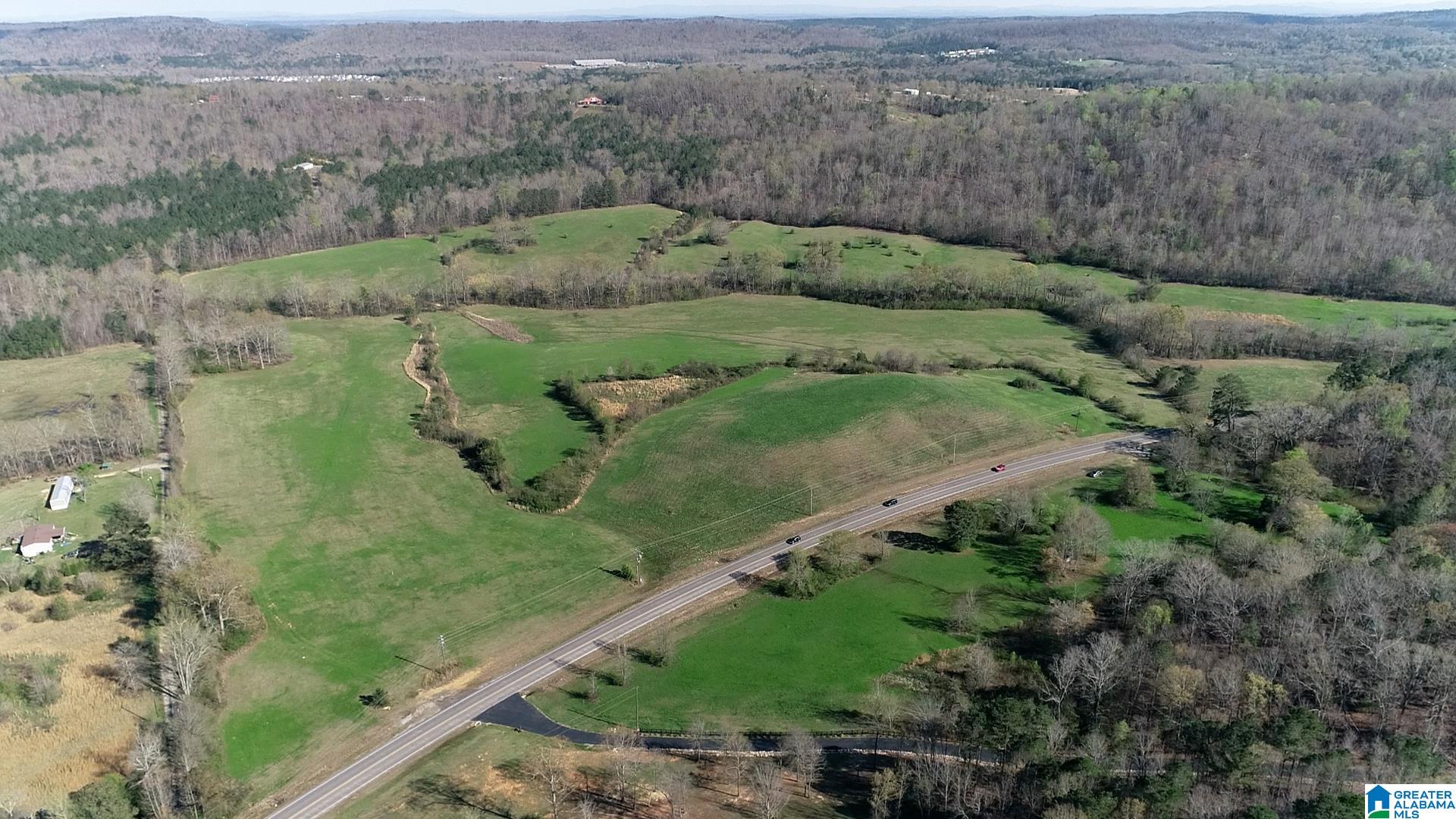 6405 Highway 174, Unit TRACT 2 Springville, AL 35146 - Photo 8 of 14