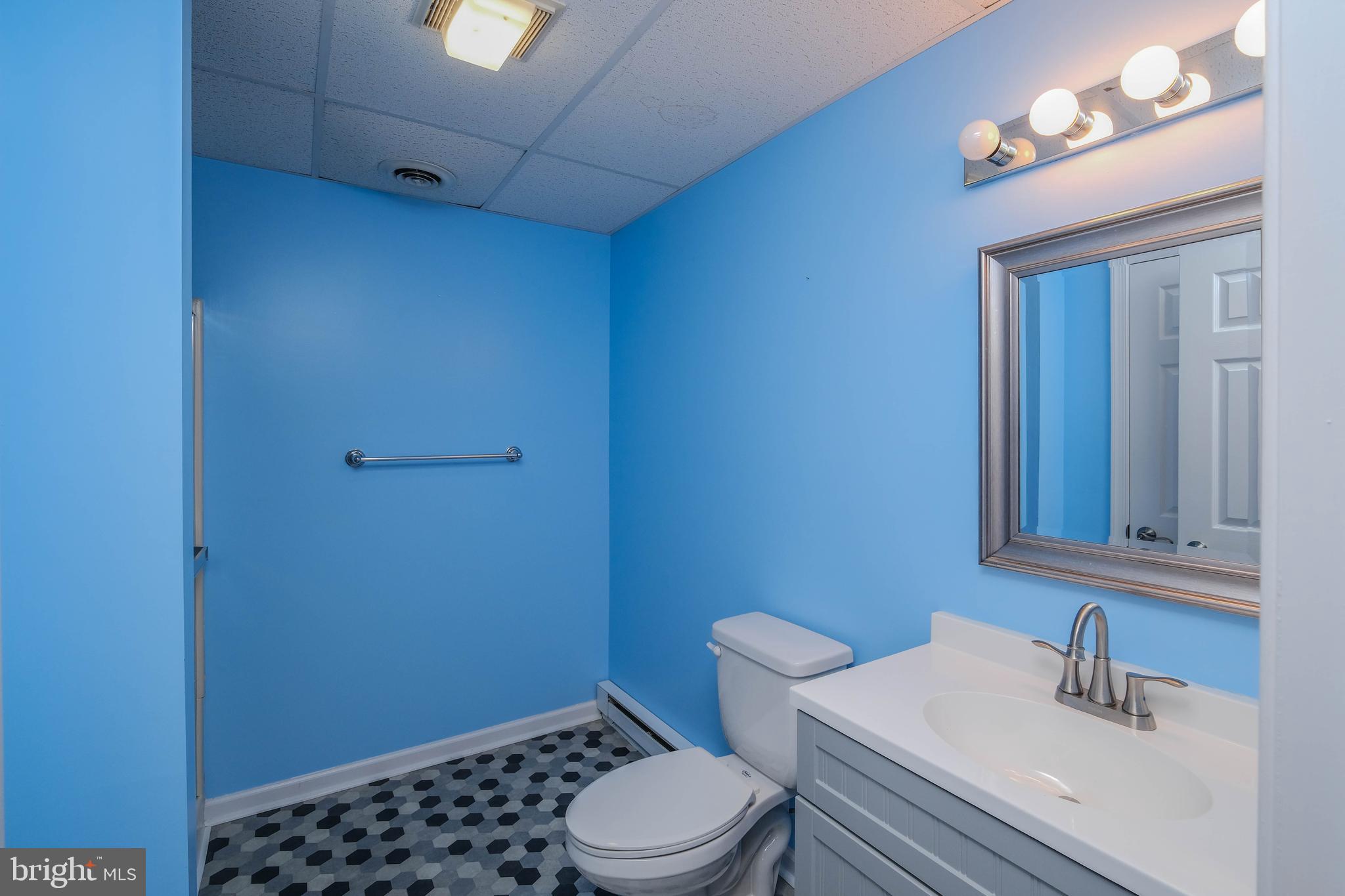 217 Silver Bell Lane Luray, VA 22835 - Photo 55 of 103 Full lower level bath