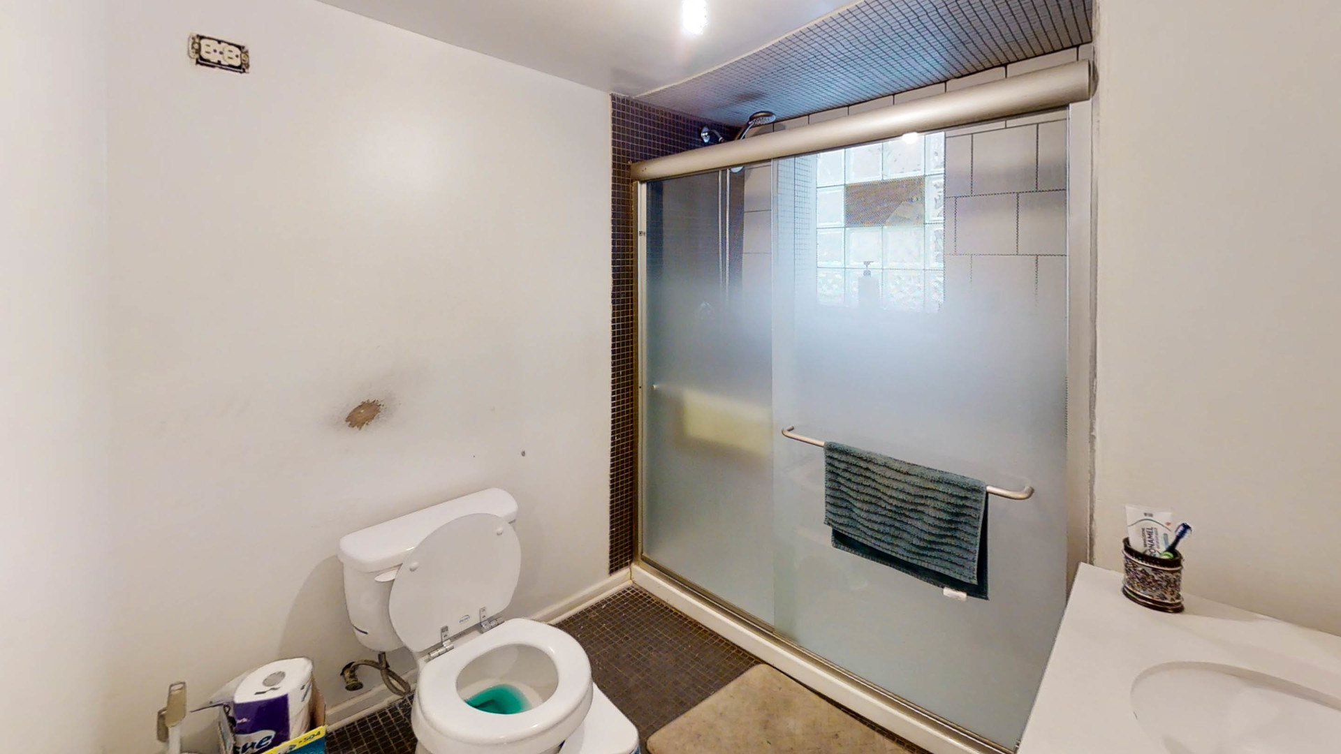 3237 West Cortez Street Chicago, IL 60651 - Photo 24 of 28 a bathroom with a toilet and a shower