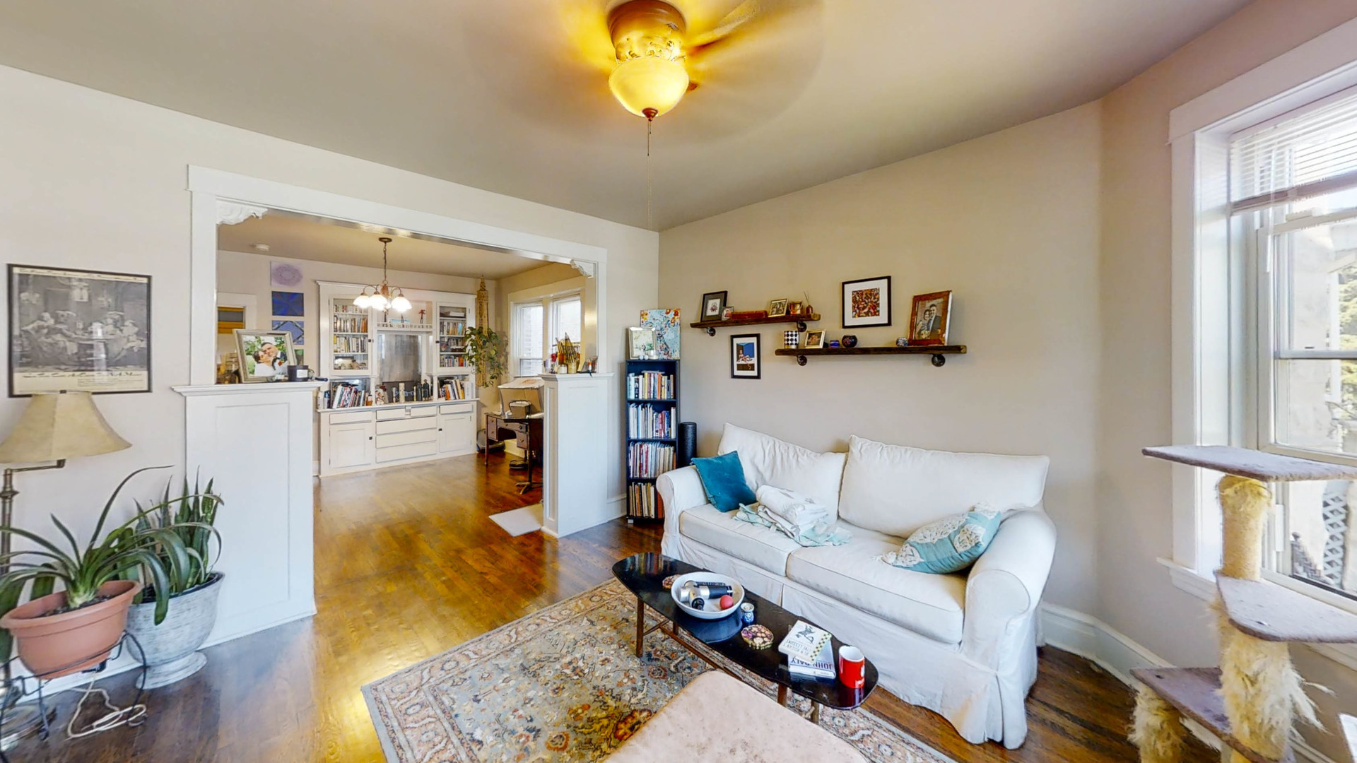 3237 West Cortez Street Chicago, IL 60651 - Photo 3 of 28 a living room with furniture and a potted plant