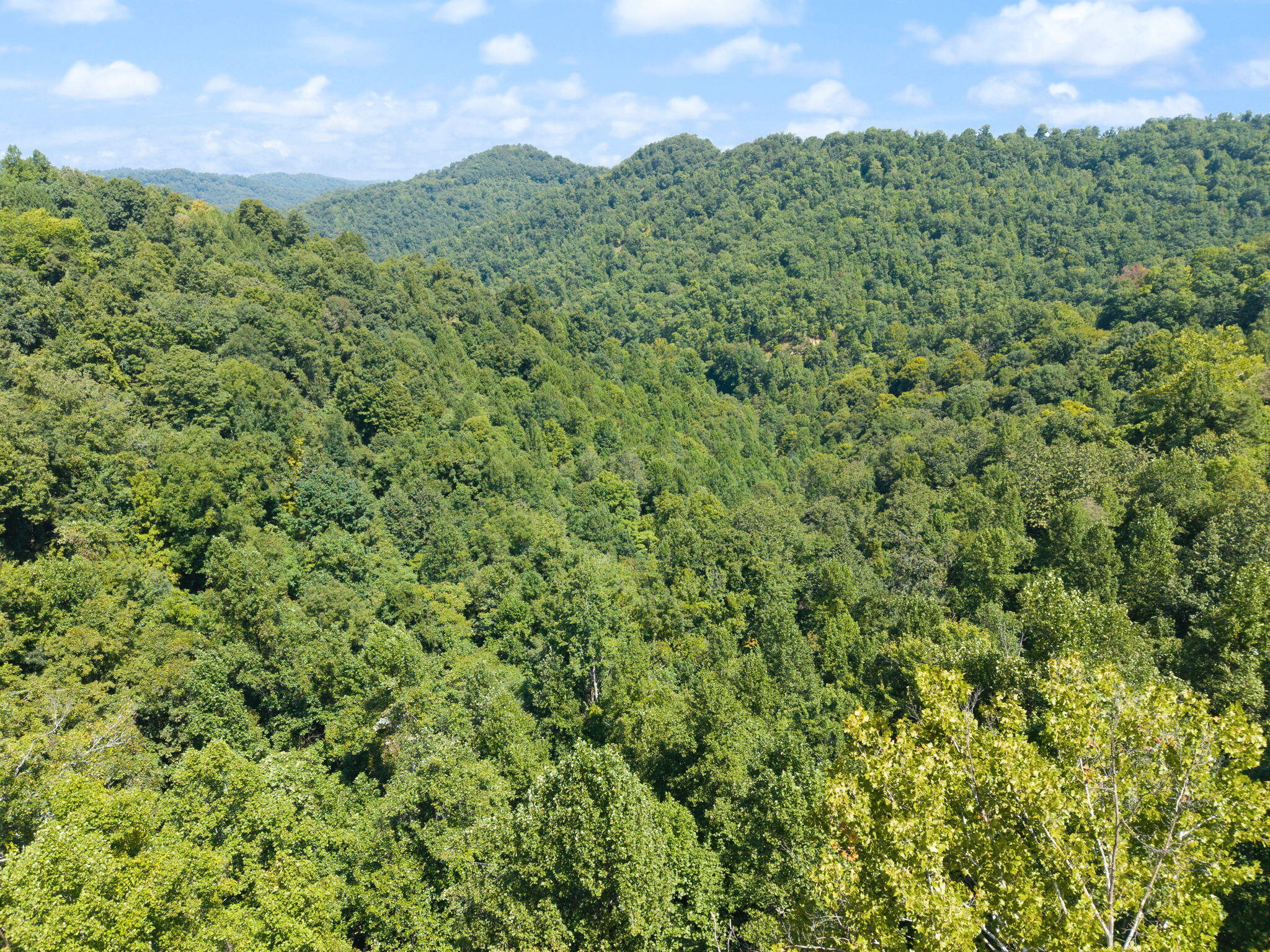 0 Bill Dee Br Road Kite, KY 41828 - Photo 15 of 45 55-web-or-mls-DJI_20260825124646_0798_D