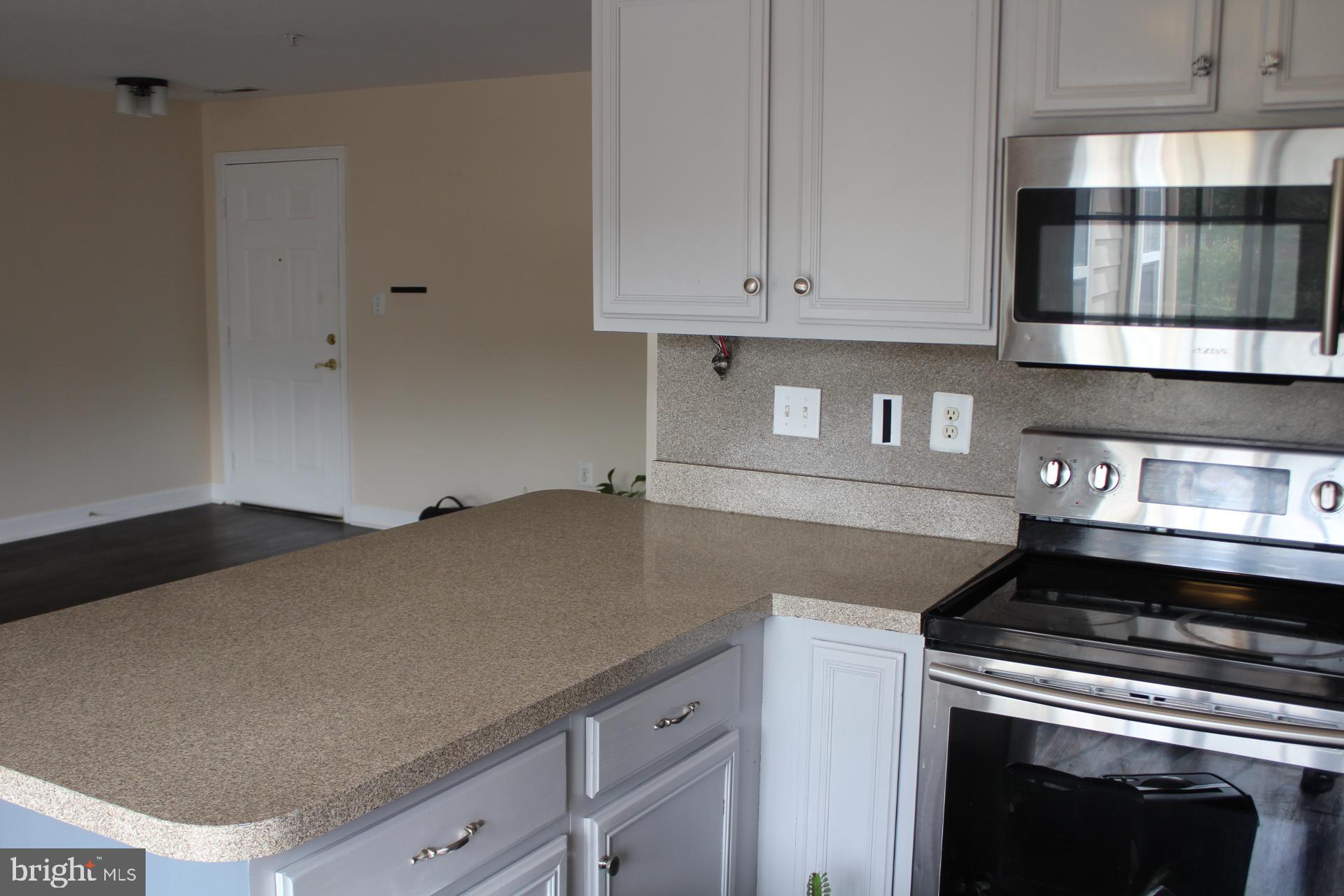 6101 Springwater Place, Unit 1202 Frederick, MD 21701 - Photo 7 of 13