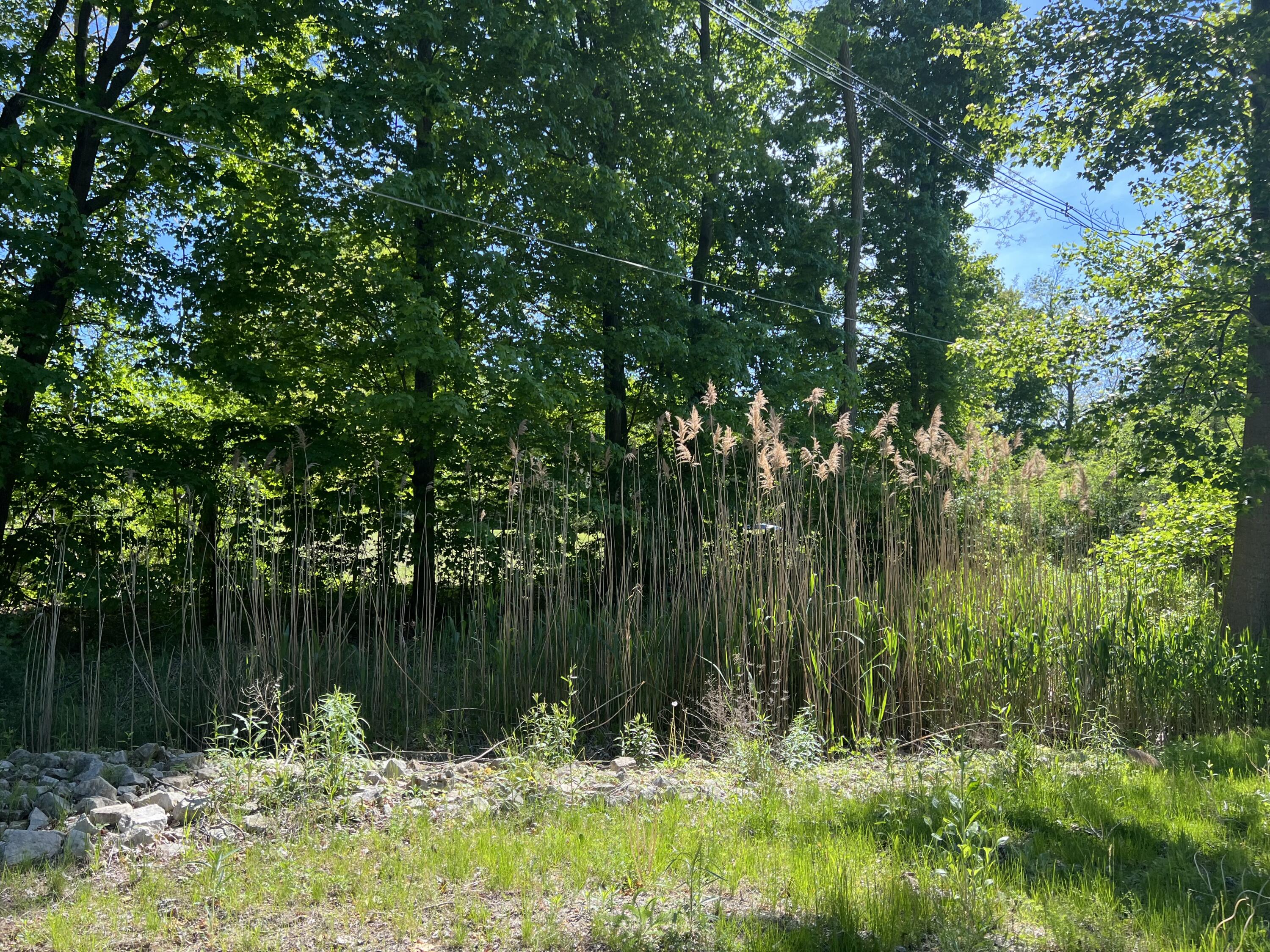 19499 Kluver Road New Buffalo, MI 49117 - Photo 2 of 15 IMG_0325