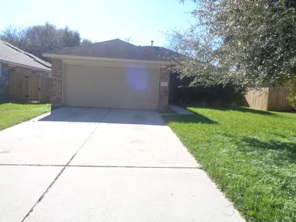 a view of backyard with large tree