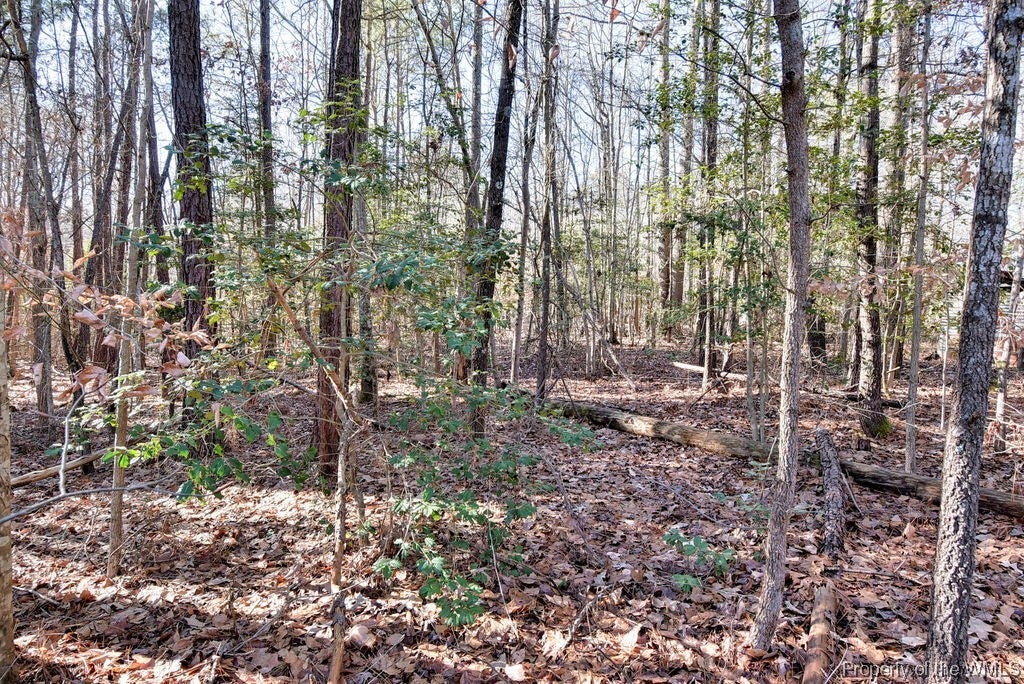 10501 Alpine Road Providence Forge, VA 23140 - Photo 22 of 24 Gallery Image 22