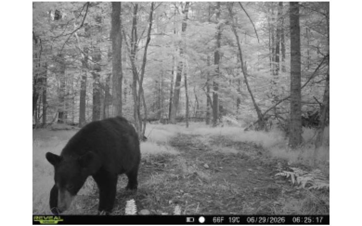 Red Hickory Road Eland, WI 54427 - Photo 25 of 28