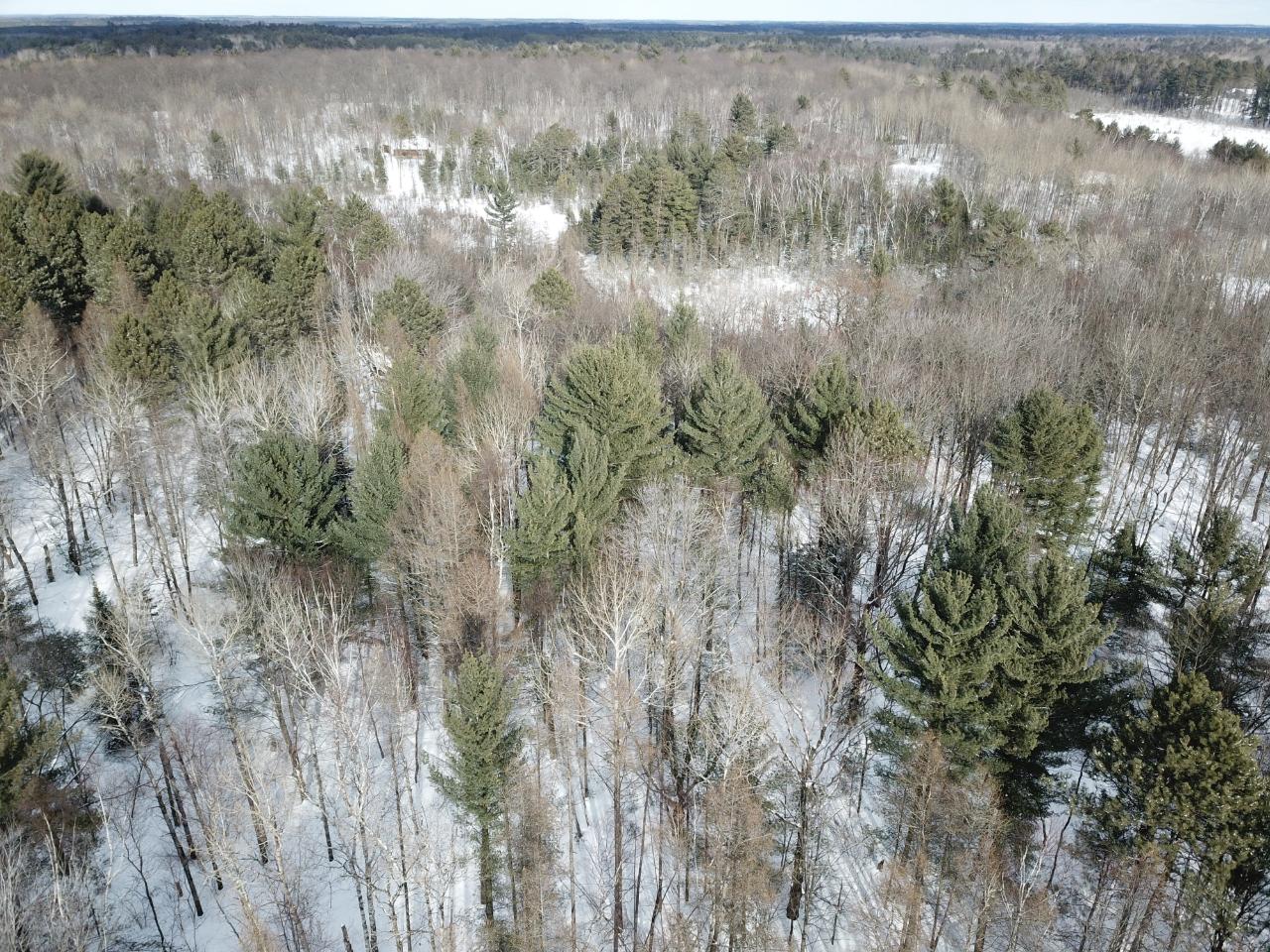 On Colburn Road Rhinelander, WI 54501 - Photo 11 of 20 Gallery Image 11