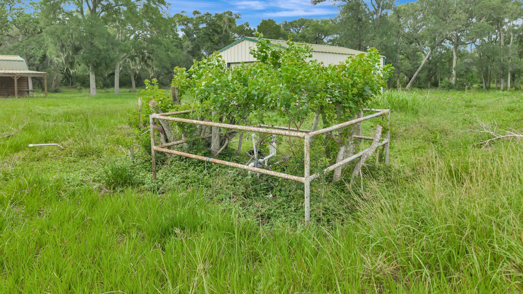4600 Fm 1862 Road Palacios, TX 77465 - Photo 24 of 43
