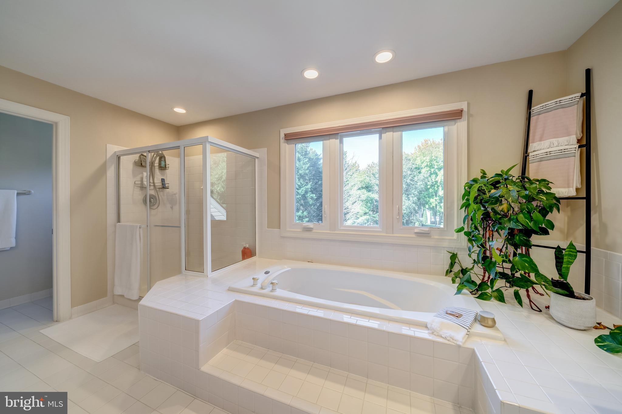 5464 Ashleigh Road Fairfax, VA 22030 - Photo 53 of 85 SEPARATE SHOWER AND SOAKING TUB