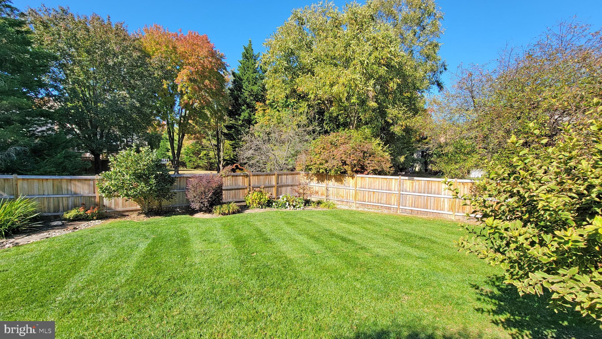 5464 Ashleigh Road Fairfax, VA 22030 - Photo 72 of 85 BACKYARD VIEW FROM GROUND LEVEL