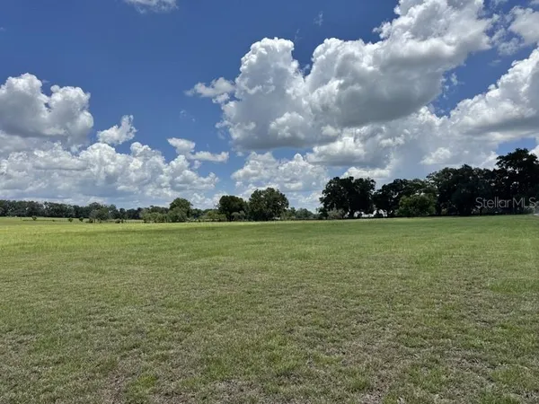 $300,000 | 131 Northwest Nw Street, Reddick, FL 32686