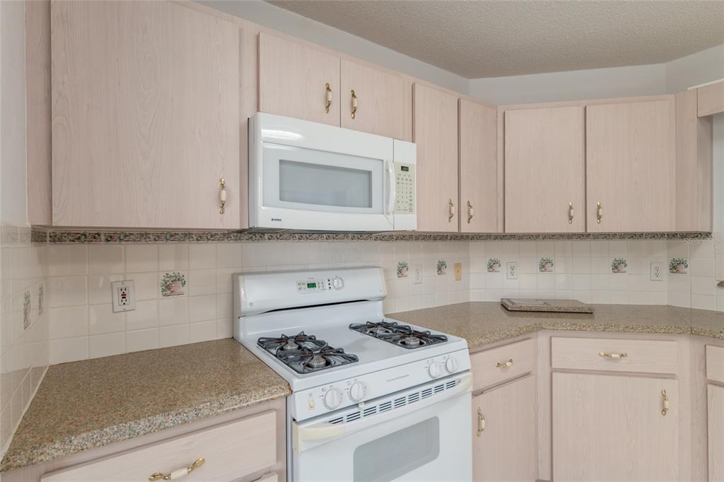 9671 Southwest 97th Street Ocala, FL 34481 - Photo 21 of 55