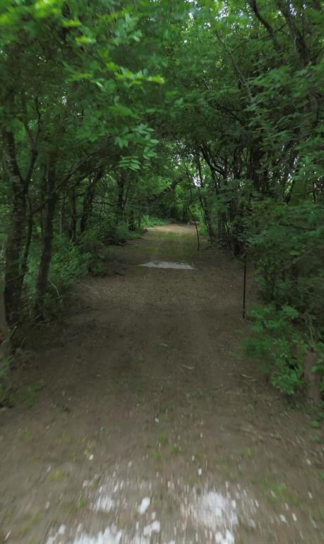 N/a N/a Private Road Milford, TX 76670 - Photo 6 of 9 a view of a forest with trees in the background