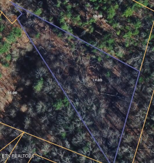 251 Mine Hollow Road Reliance, TN 37369 - Photo 3 of 4 Screenshot 2026-05-14 110551