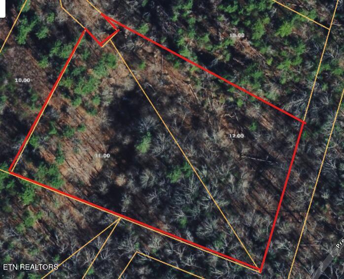 251 Mine Hollow Road Reliance, TN 37369 - Photo 4 of 4 Screenshot 2026-05-14 110658