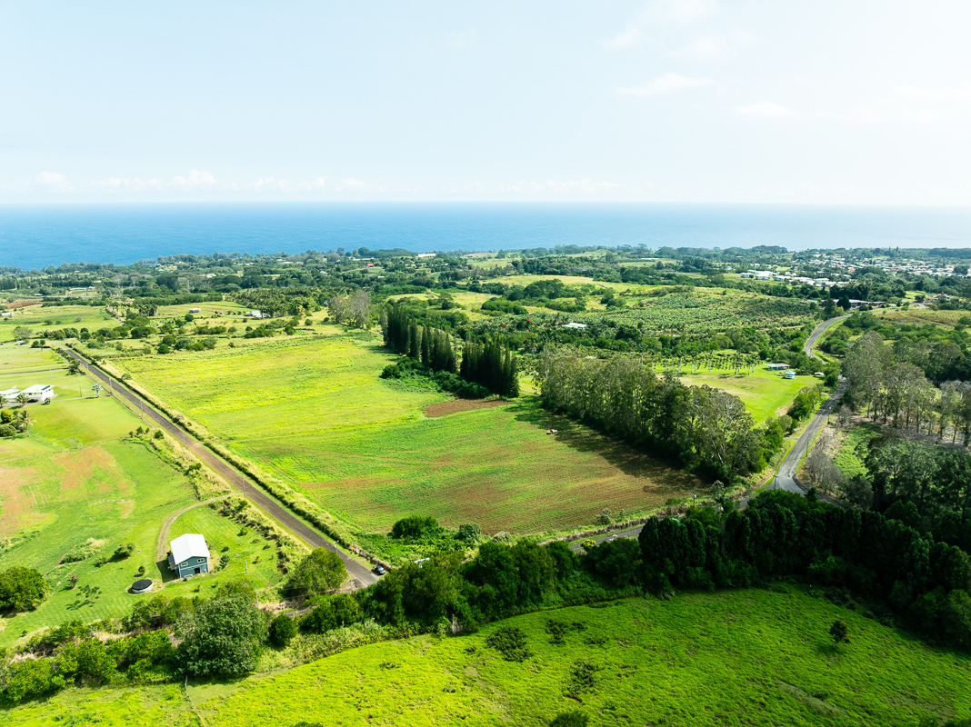an aerial view of residential houses with outdoor space and trees