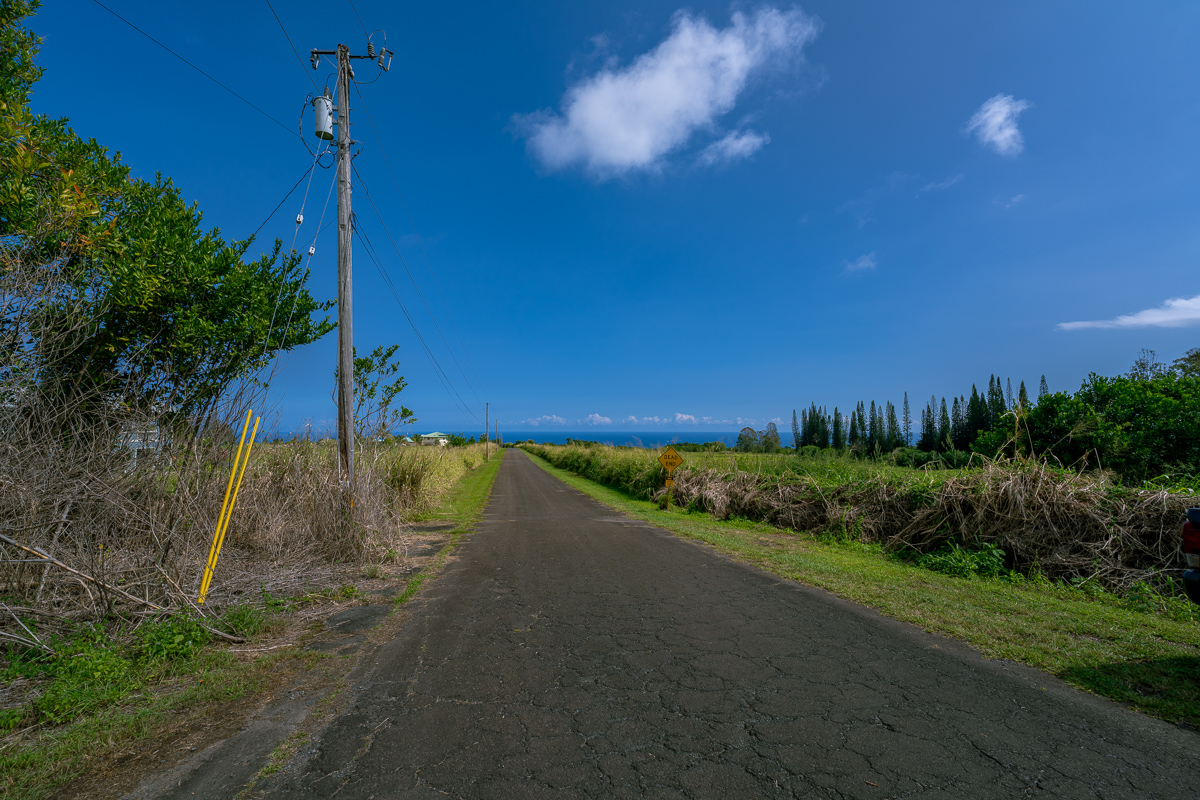 30 Airstrip Road Pepeekeo, HI 96783 - Photo 11 of 12 a view of a yard