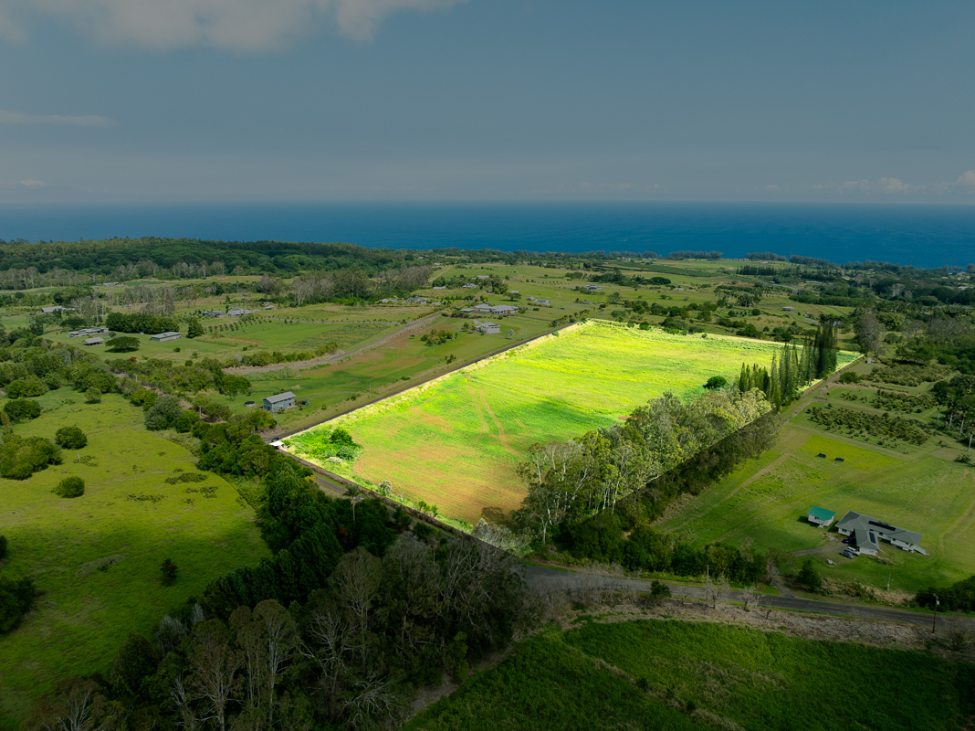 30 Airstrip Road Pepeekeo, HI 96783 - Photo 3 of 12 a view of a field with an ocean
