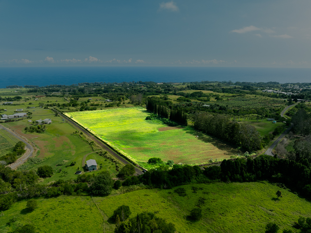 30 Airstrip Road Pepeekeo, HI 96783 - Photo 4 of 12 an aerial view of residential houses with outdoor space and trees