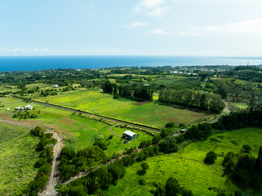30 Airstrip Road Pepeekeo, HI 96783 - Photo 5 of 12 an aerial view of a houses with a yard