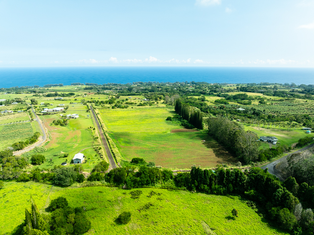 30 Airstrip Road Pepeekeo, HI 96783 - Photo 6 of 12 a view of an ocean from a yard