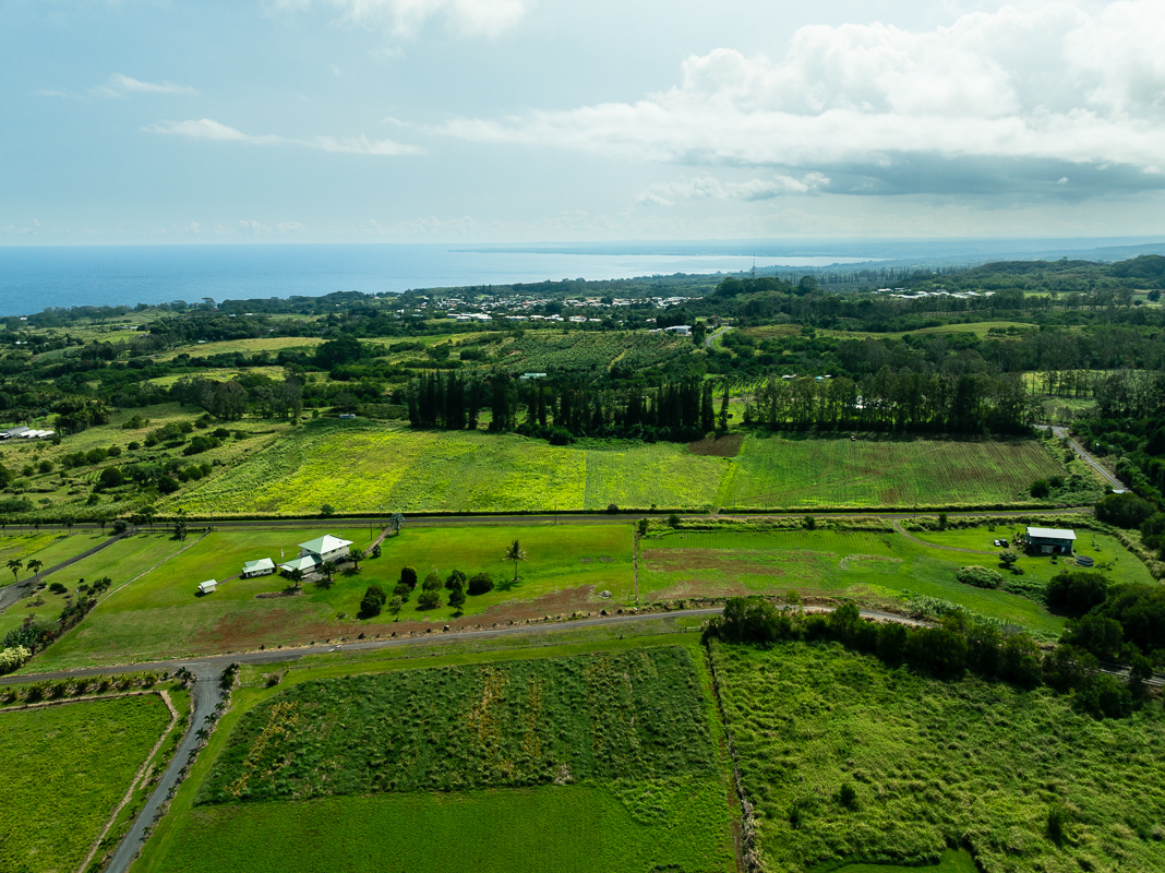 30 Airstrip Road Pepeekeo, HI 96783 - Photo 7 of 12 a view of a golf course with a field