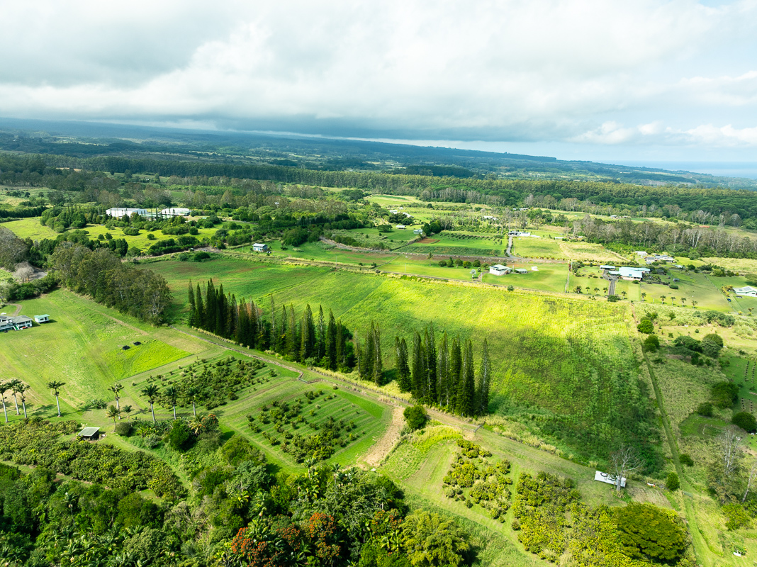 30 Airstrip Road Pepeekeo, HI 96783 - Photo 9 of 12 a view of yard with ocean view