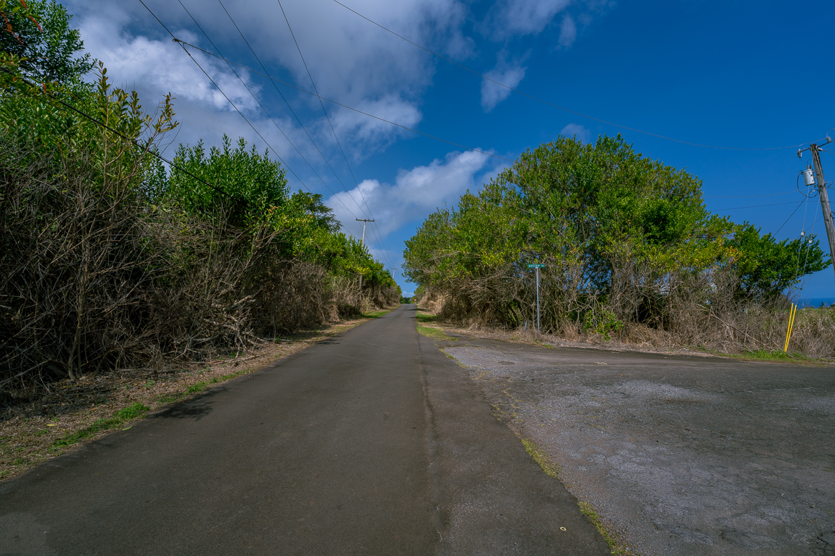 30 Airstrip Road Pepeekeo, HI 96783 - Photo 10 of 12 a view of a plants with a trees in the background